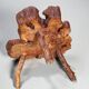 Olive root coffee table in brutalist style.