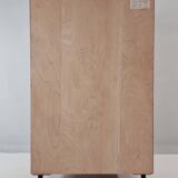 Vintage Wardrobe in Ash, 1960s