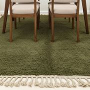3 rugs (2.5/1.5)x2 and 3/2