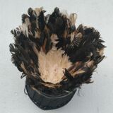 Juju hat white natural contour of 35 cm