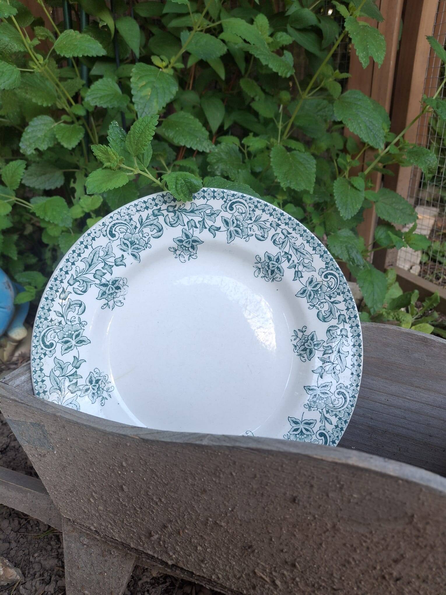 Set of 4 antique ironstone plates from Saint-Amand, "Jane" model.