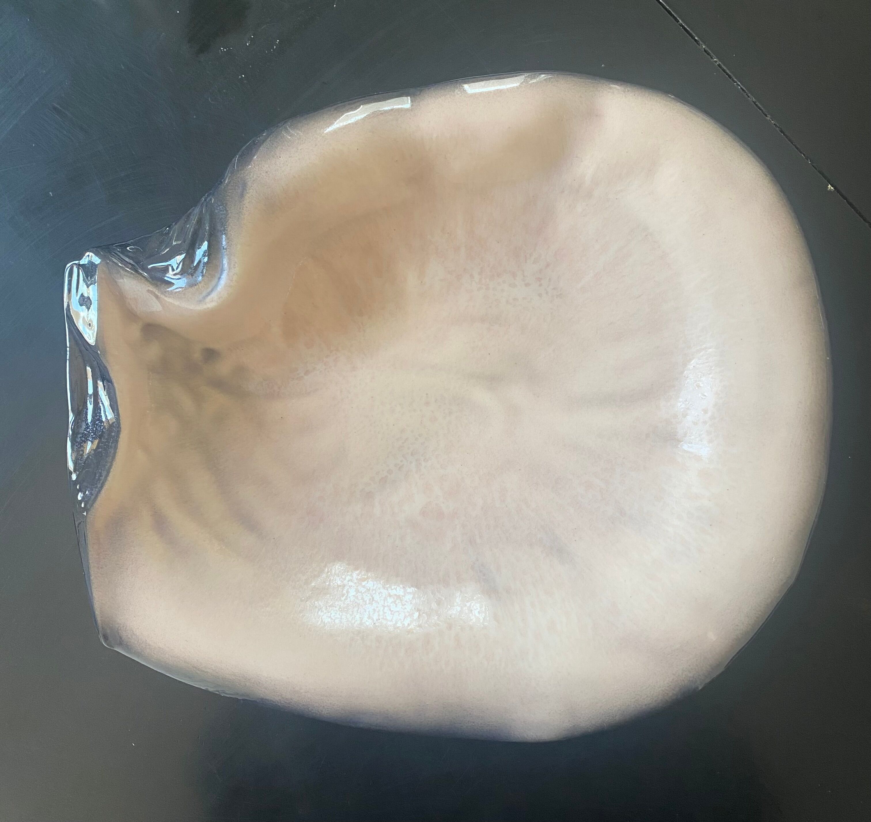 Earthenware dish by Paul Chambost