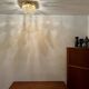 Flush Chandelier by Ernest Palme