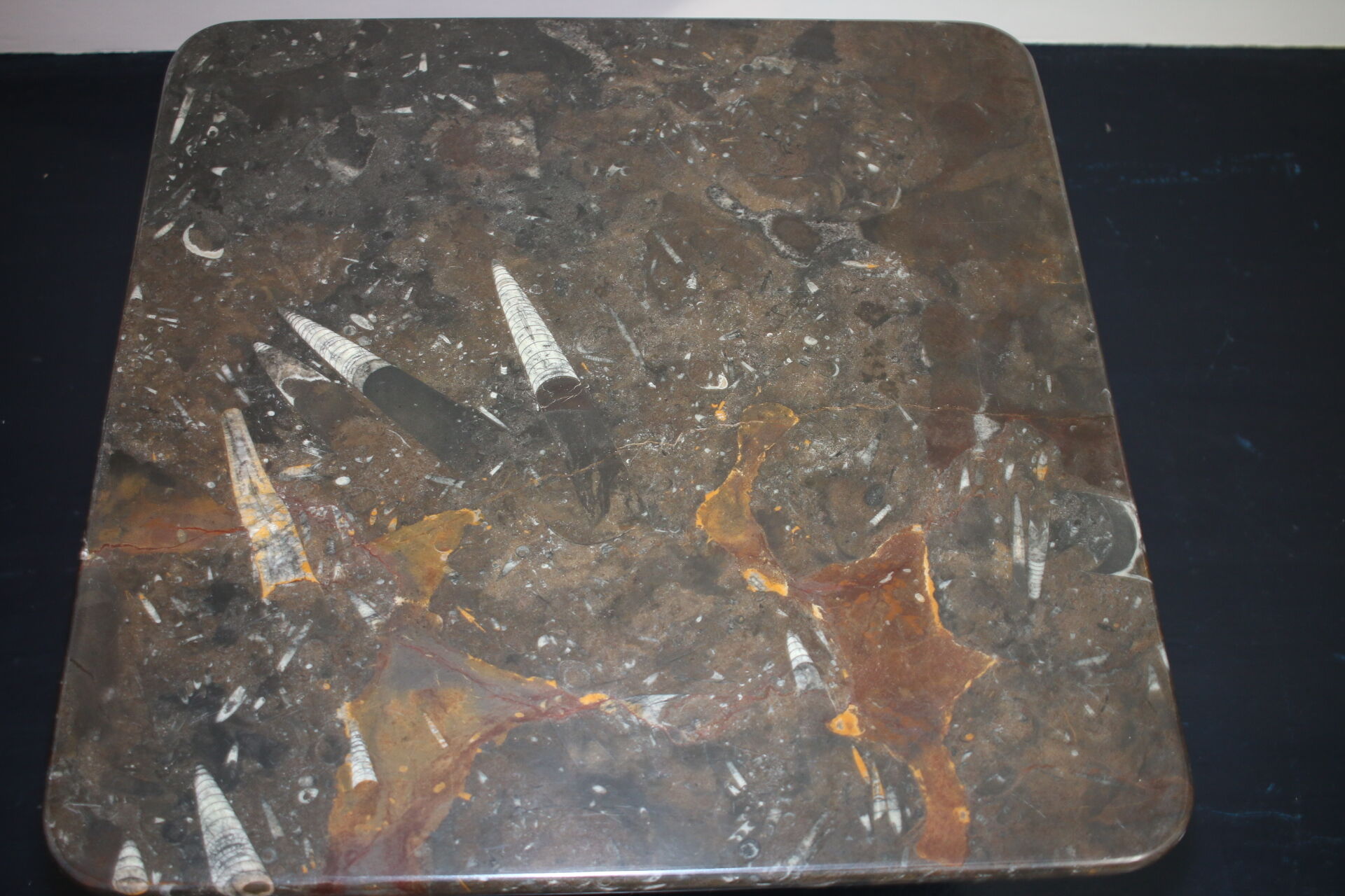 Table basse vintage en pierre fossilisée