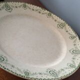 Dish