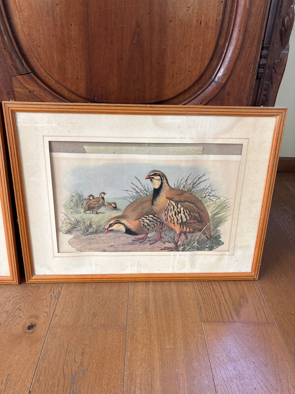 3 estampes canards et perdreaux