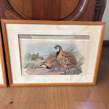 3 prints of ducks and partridges