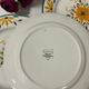 Set of 5 flat plates "Charolle" manufacture of Digoin and Sarreguemines