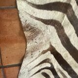 Real zebra skin
