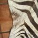 Real zebra skin