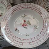 12 plates + 1 Digoin and Sarreguemines dish