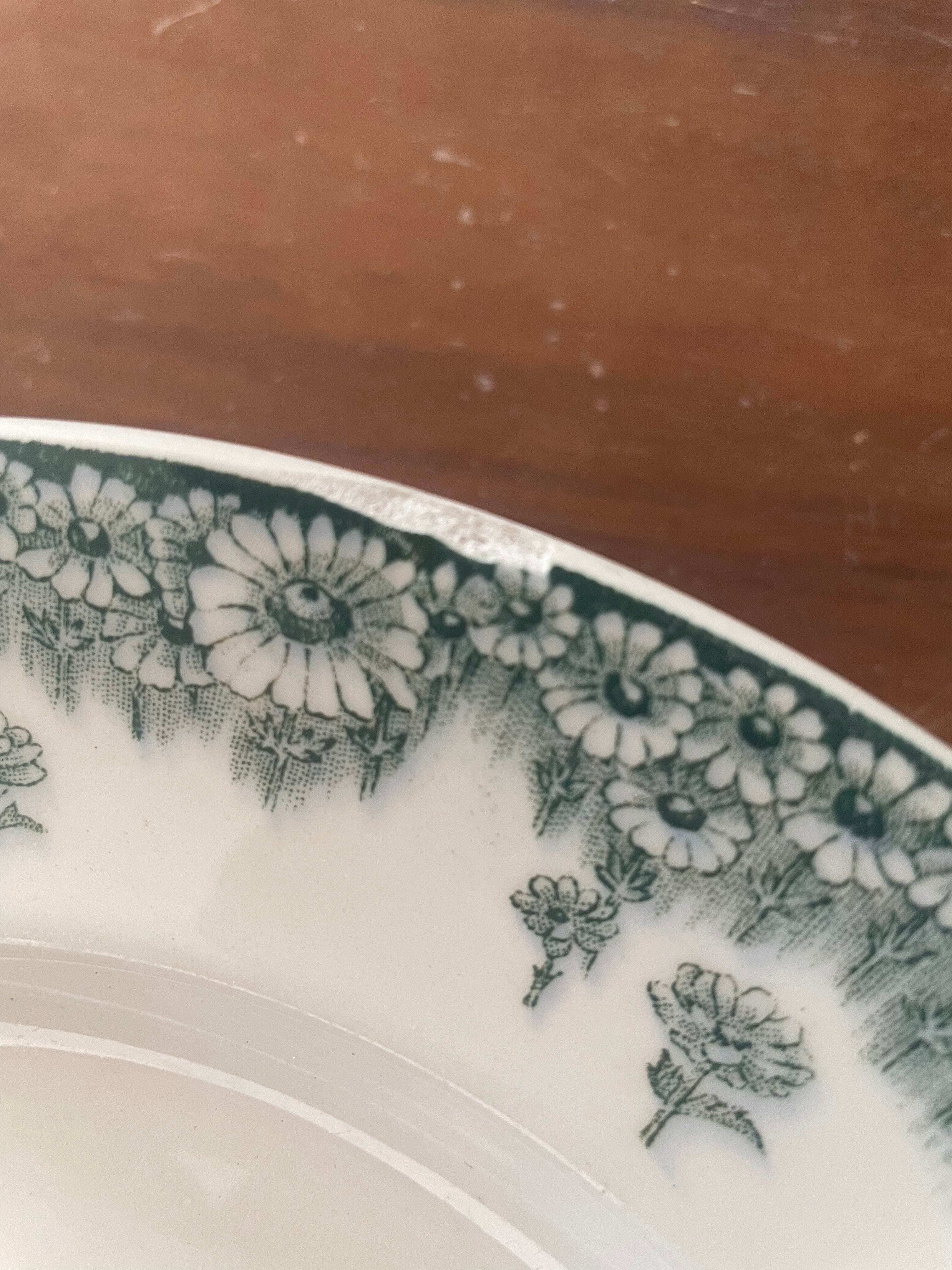 Set of 5 flat plates Terre de fer Longwy