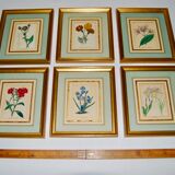 Set of 6 Small Botanical Flower Engravings