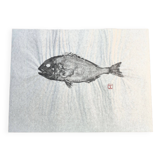 Estampe d'une dorade, gyotaku original de dorade