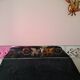 Pair of decorative panels in mirrors equalized