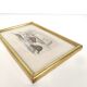 Zoological board engraving Buffon otter and beaver from Canada gilded wood frame