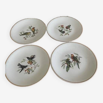 Set of 4 old plates decorated with birds in lunéville earthenware