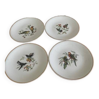 Lot de 4 anciennes assiettes à décor d'oiseaux en faïence de lunéville