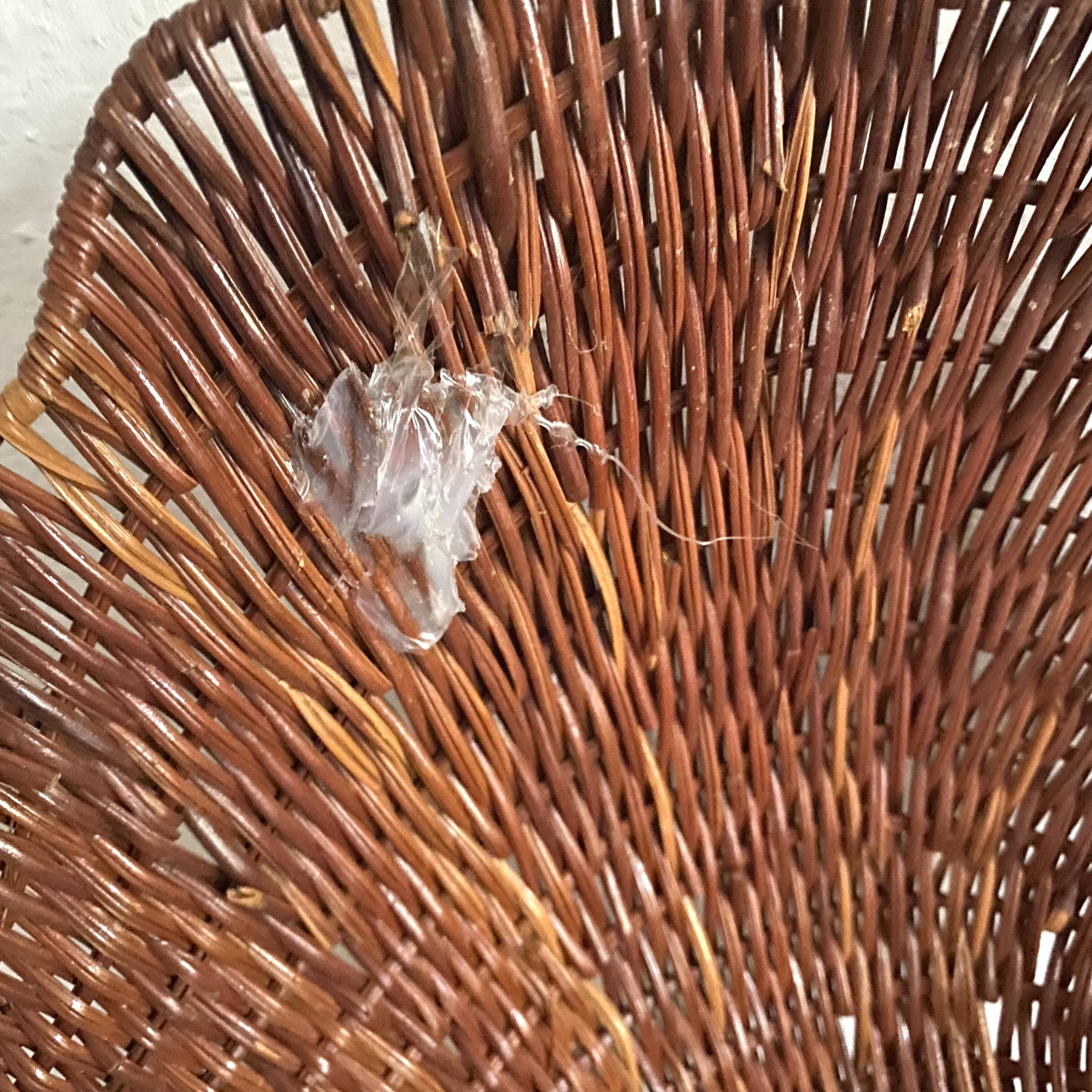 Rattan shell box
