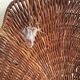 Rattan shell box