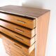 Japanese high commode