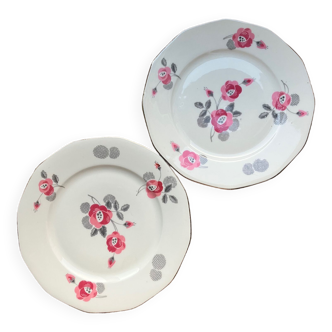 2 dessert plates with rose patterns