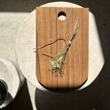 Rounded rectangular monoxyl teak cutting or presentation board L:34