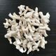 Lot of white corals