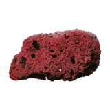 Red coral