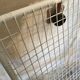 Pair of vintage armchair EMU RIO 1960-1980's