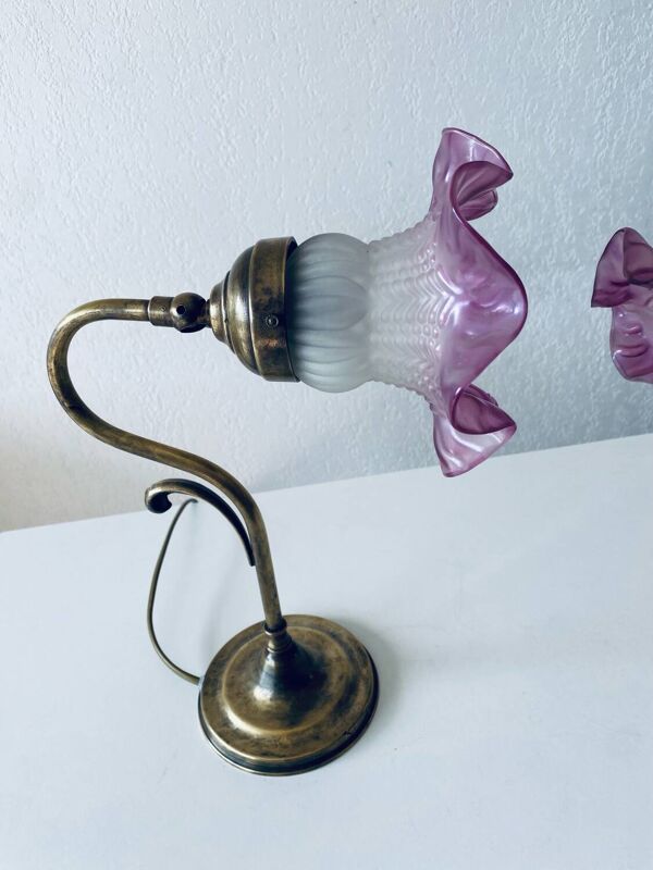 Paire de lampe col de cygne