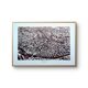 Toulouse, Haute-Garonne, photo print plate from 1942.