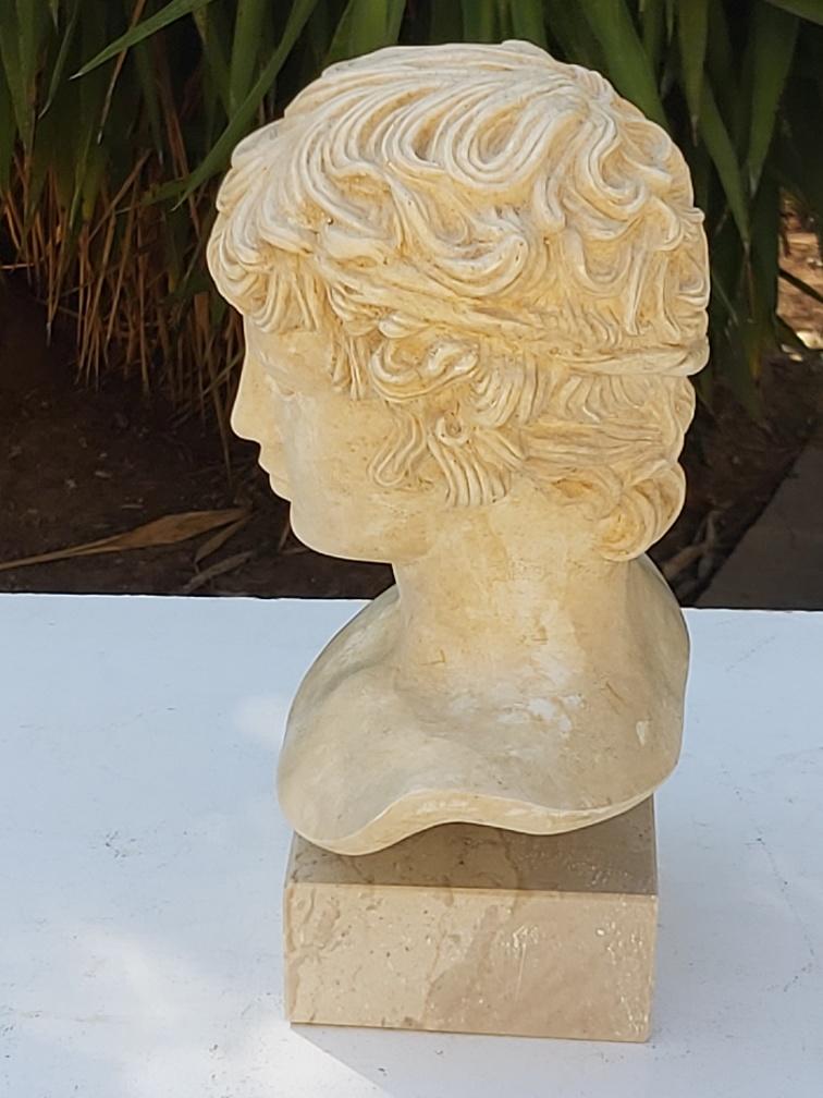 Plaster and marble bust