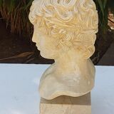 Plaster and marble bust
