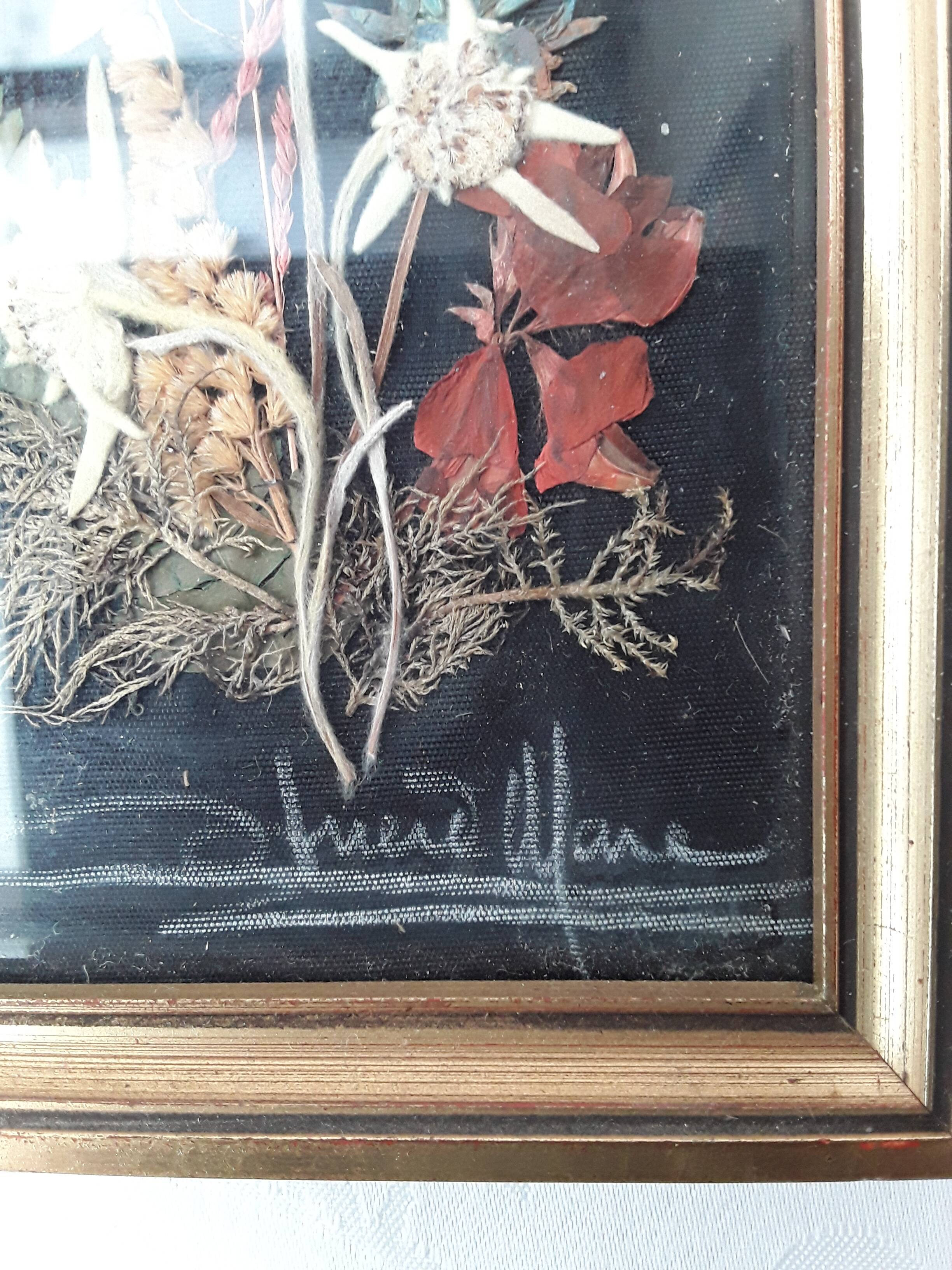 Herbarium frame under vintage glass