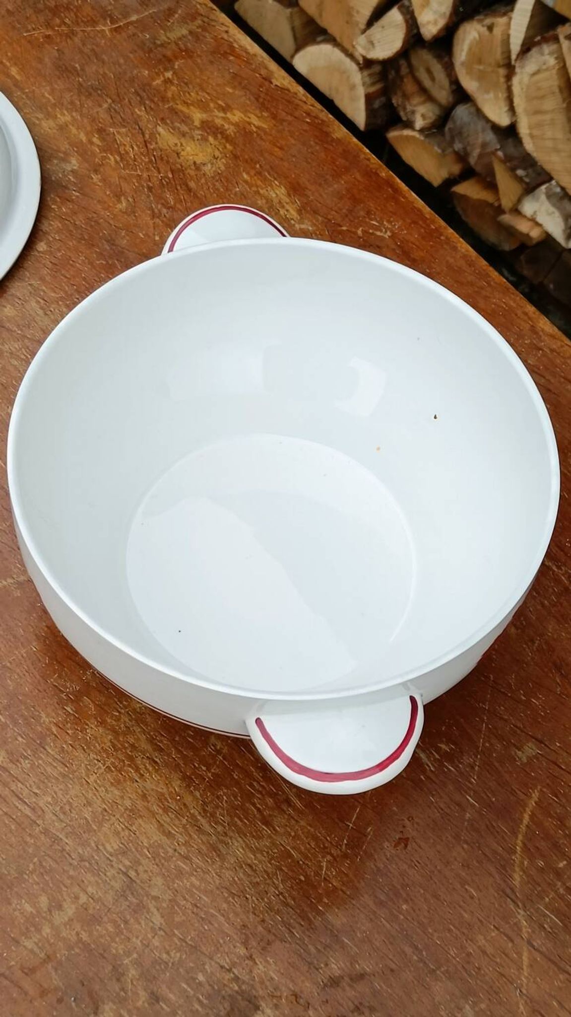 Moulin des Loups tureen, carnation model