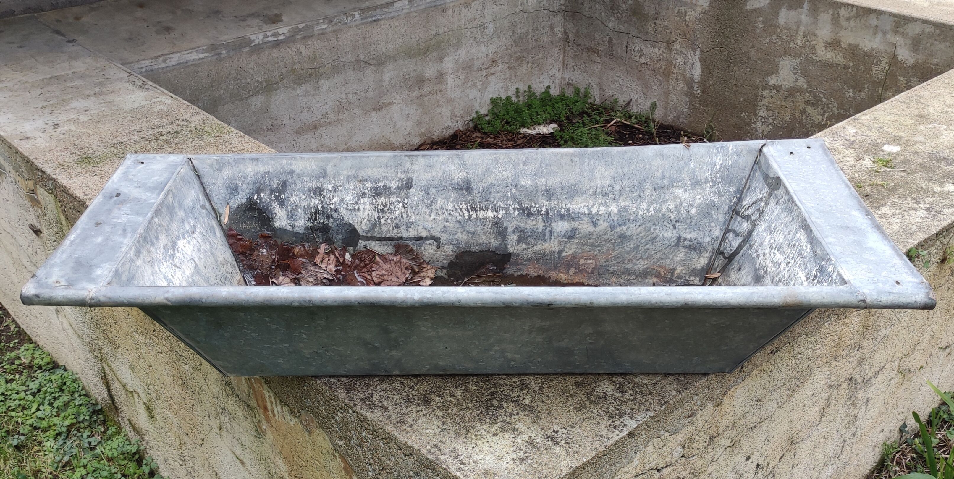 Old zinc trough/vintage planter