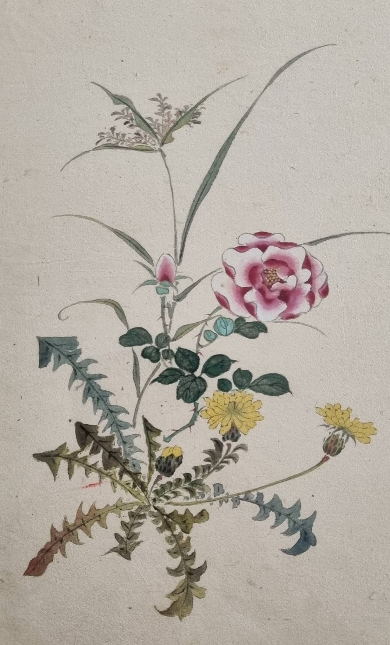 Aquarelle japonaise ancienne Composition florale, ère Meiji, 33 x 43 cm