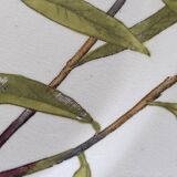 Antique 10" octagonal plate foliage bird Mintons ESSEX BIRDS 1880