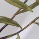 Antique 10" octagonal plate foliage bird Mintons ESSEX BIRDS 1880