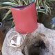 The Godlefit Caves Owl Lamp