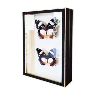 Butterfly frame