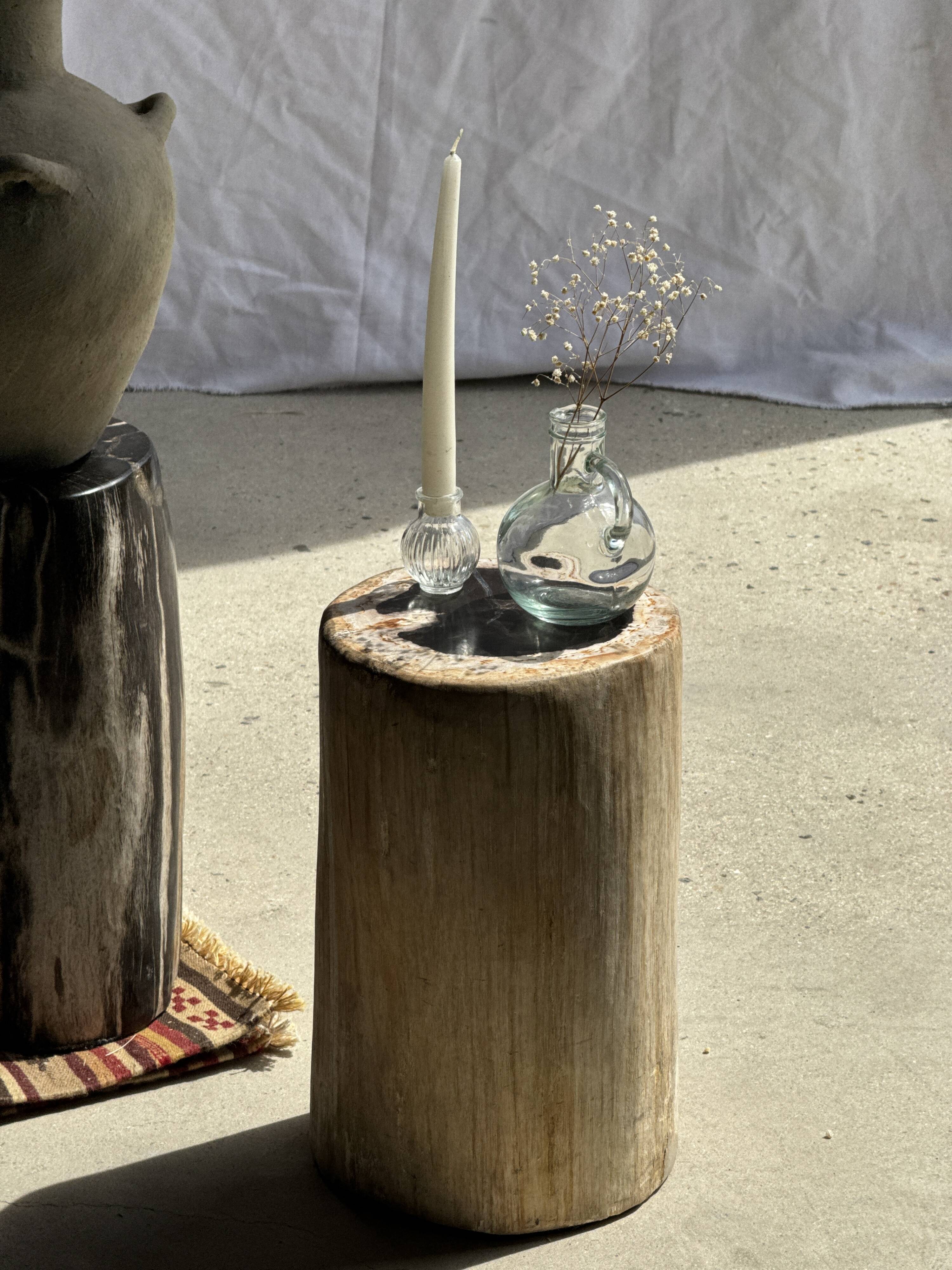 Table d'appoint en bois pétrifié, écorce blanche