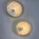 Pair of frozen glass round sconces, Germany, 1960s