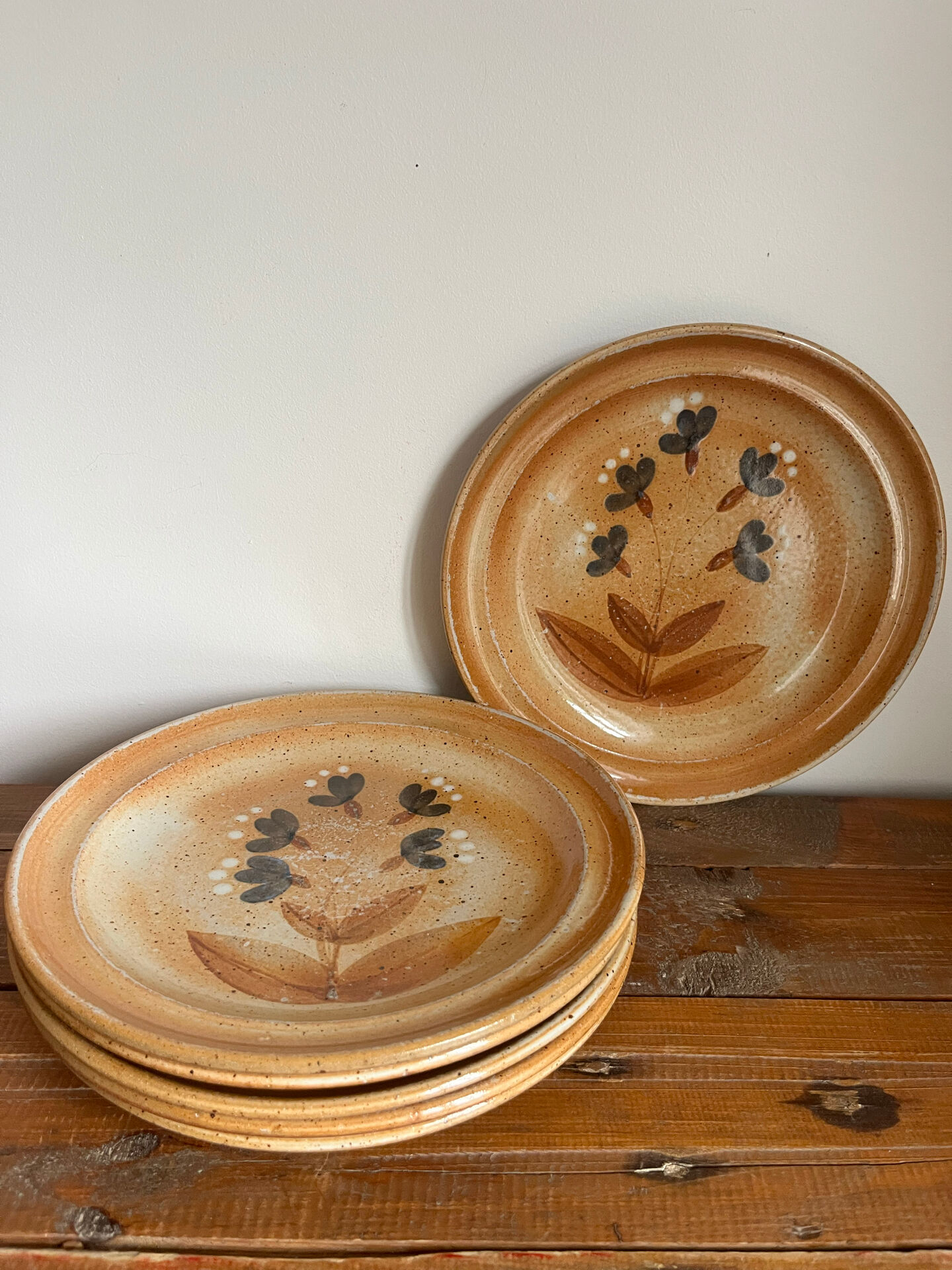 6 assiettes plates en grès 