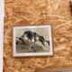 Photographic reproduction Tairraz – Framed alpine landscape