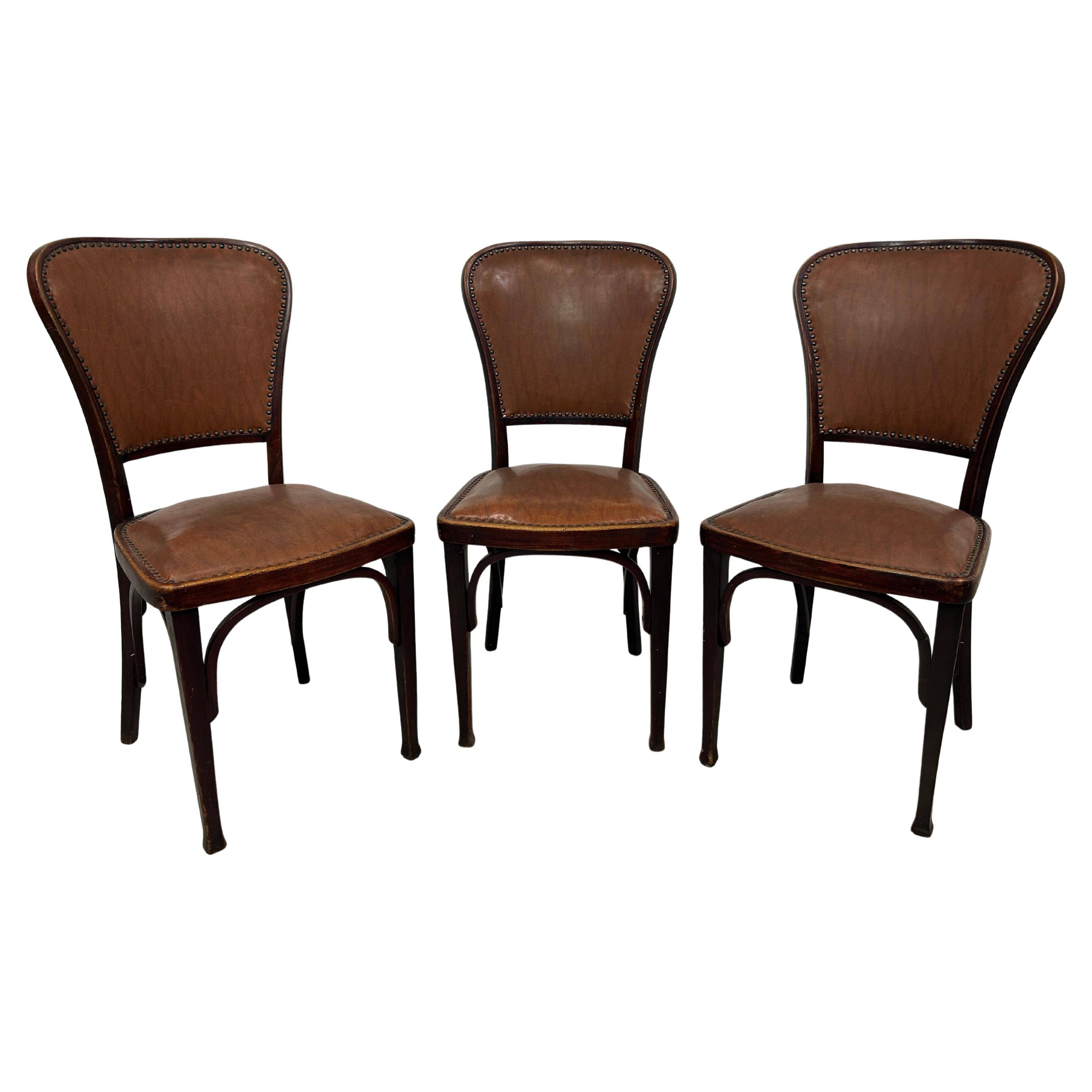 Set of 3 dining chairs by Gustav Siegel for J&J Kohn