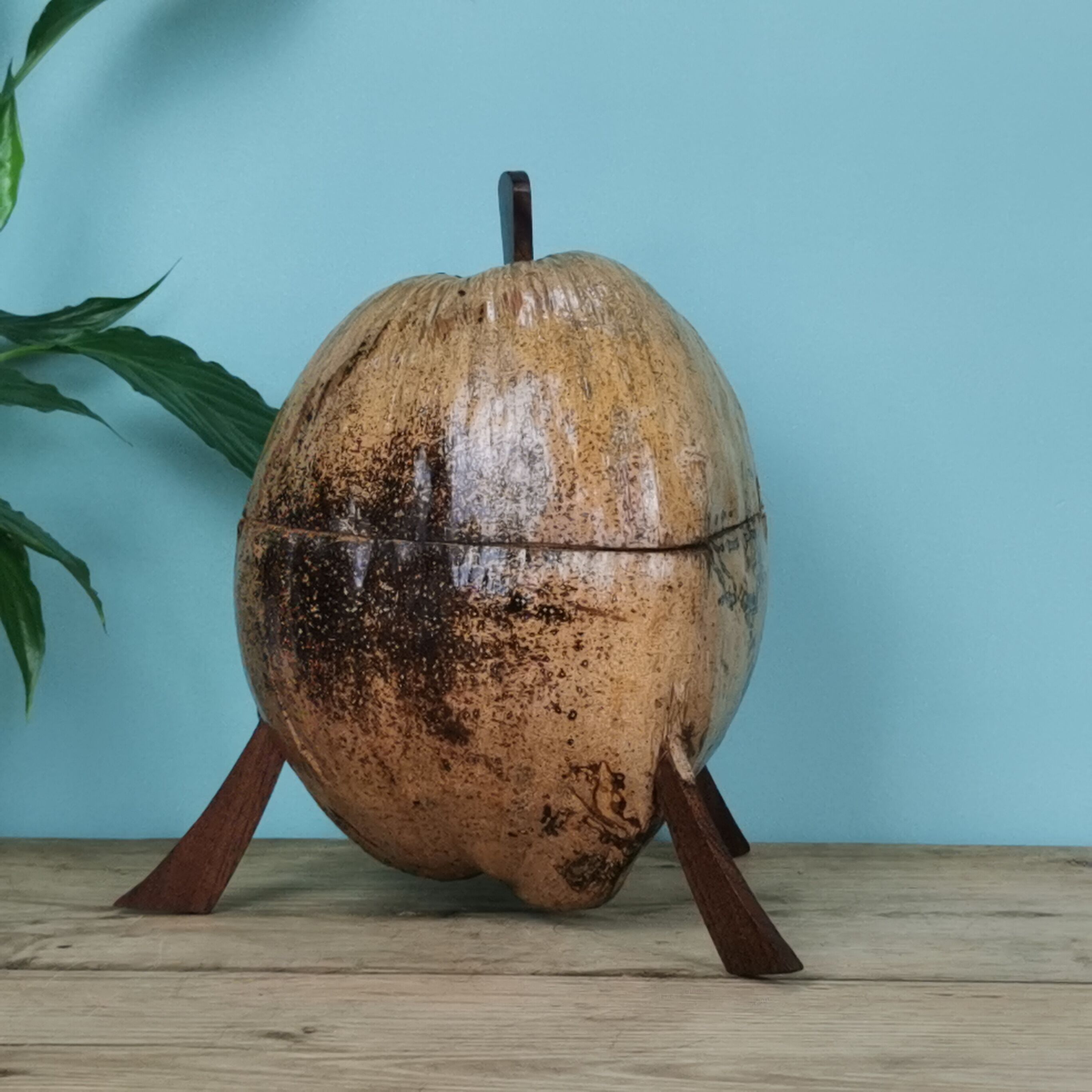 "Coconut" ice bucket
