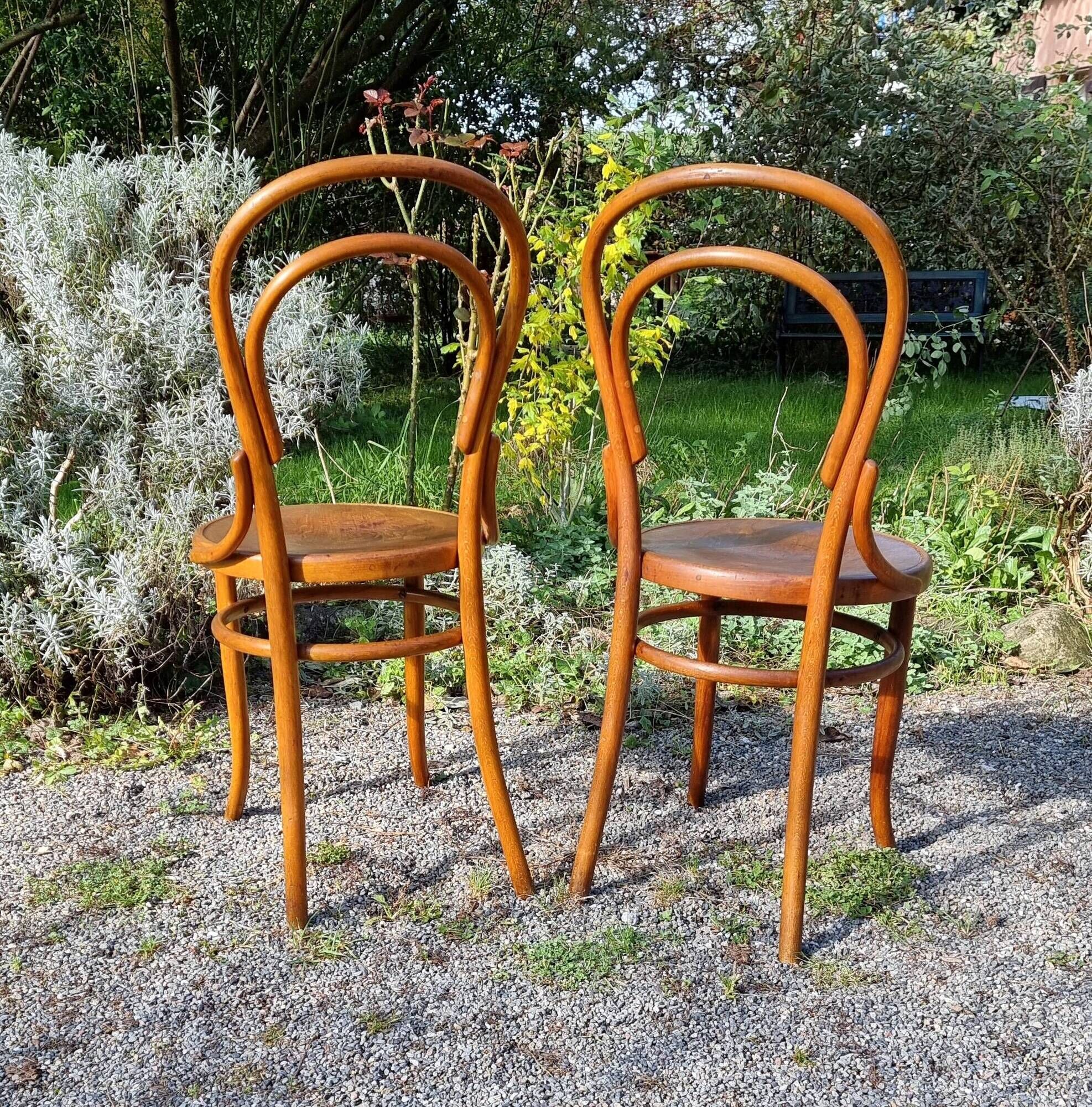 Pair of bistro chairs n°14 by Fischel austria bers 1915