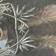 Large wine glasses (5) - Art Deco - Blown and cut crystal